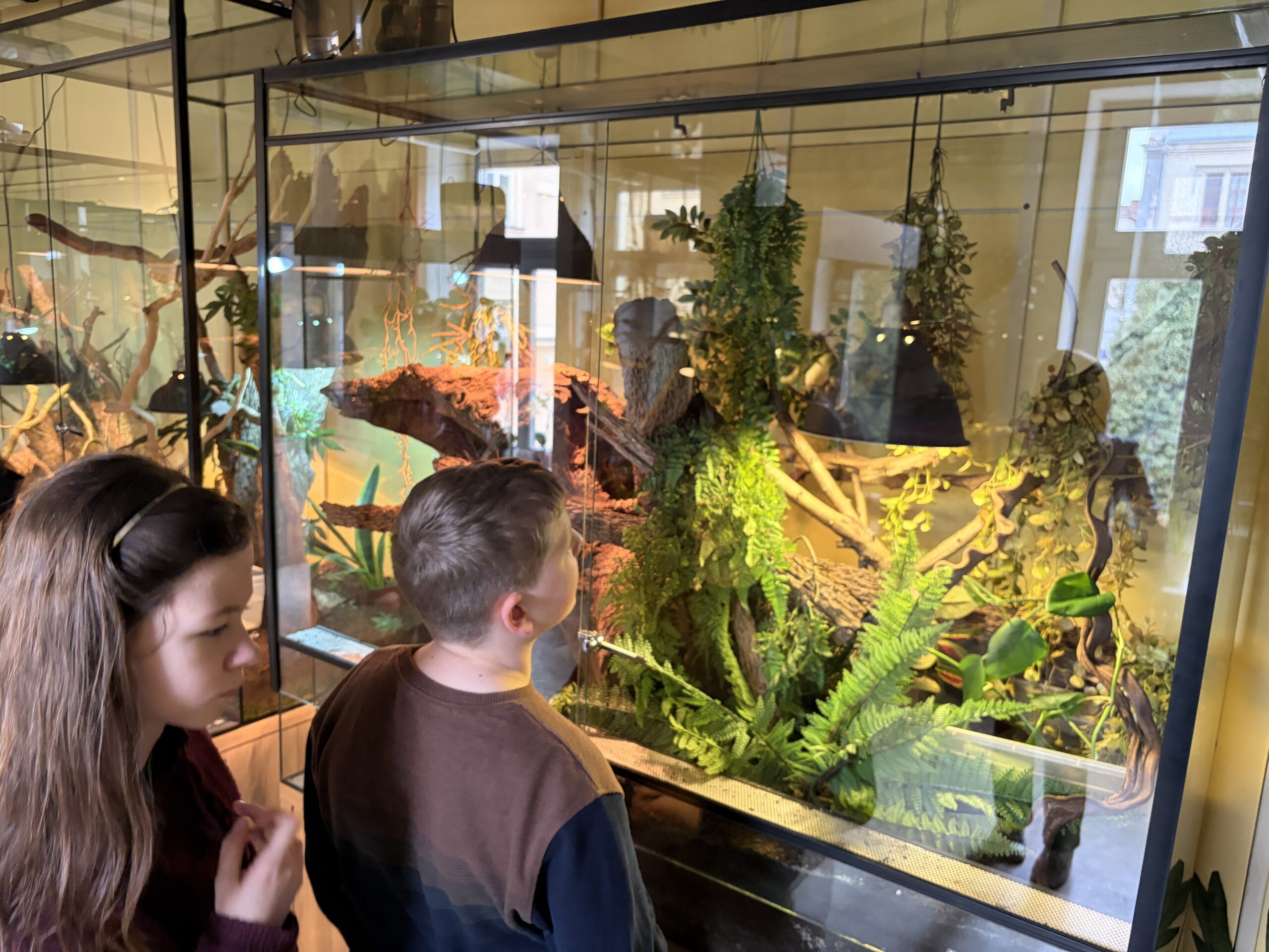 XXXVI. Herman Ottó Kárpát-medencei Biológia Verseny 2026 – Kassa